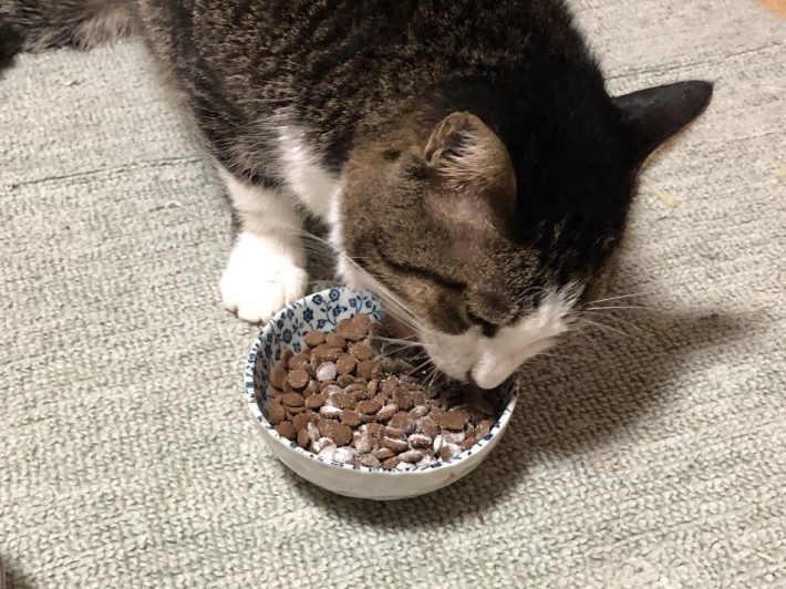 ご飯は妻子の後に