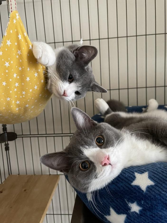 くつろぐ姿がキュート