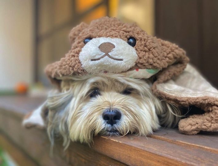 普段からのんびり屋さん