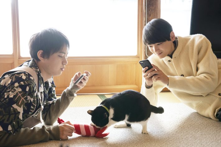 『劇場版 ねこ物件』場面写真