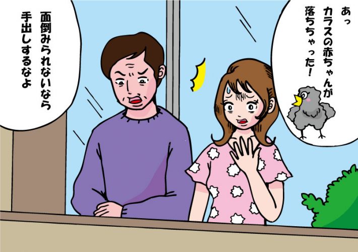 カラスの赤ちゃん