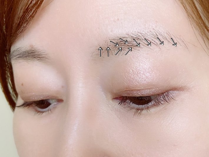 眉毛の流れを見ながら描いていく