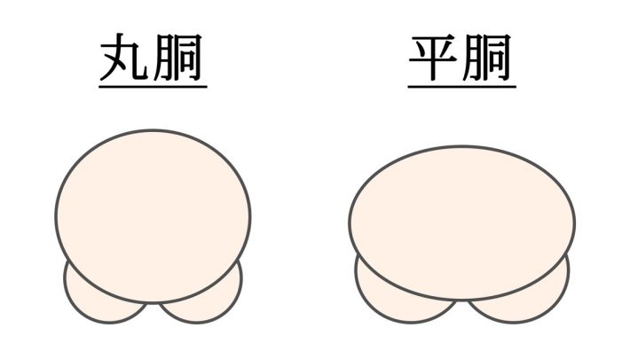 骨格ナチュラル