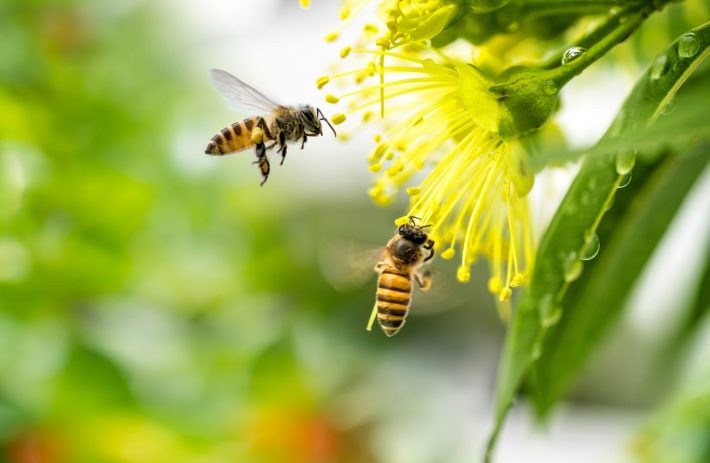 スカートの中の正体にパニック