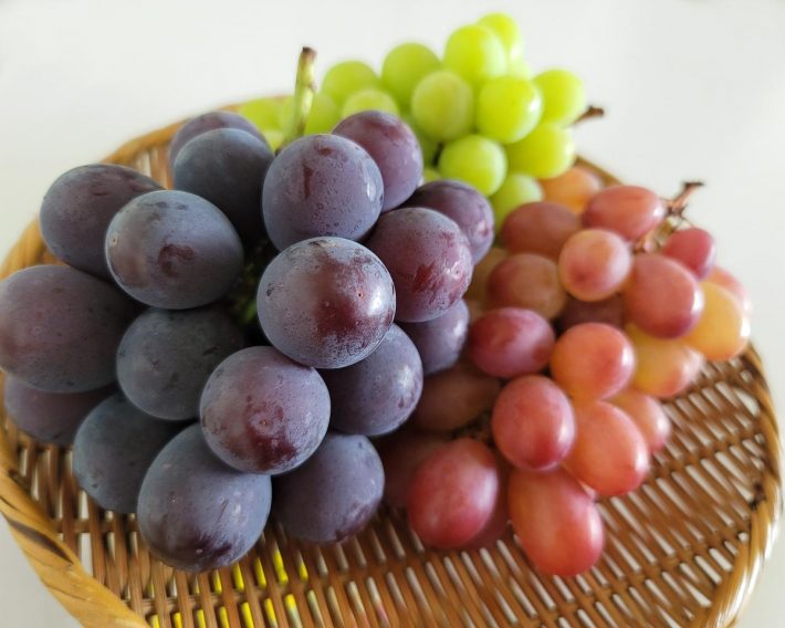 ブドウ