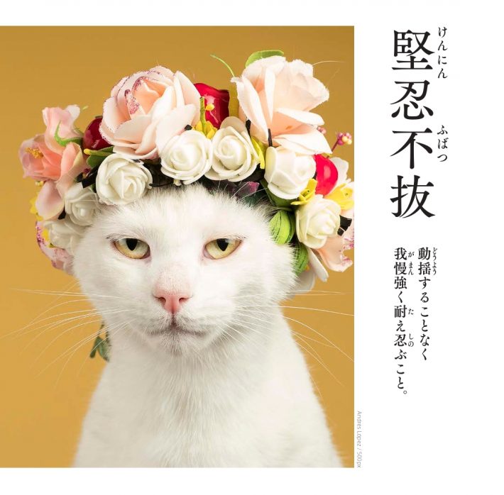 え、その写真、アップするの？