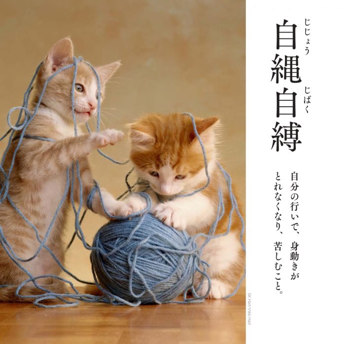 こんなはずじゃなかった、と後悔する前に