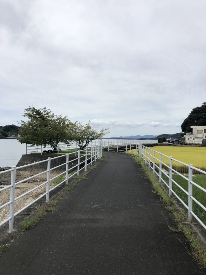 職場のみんなとサイクリングへ