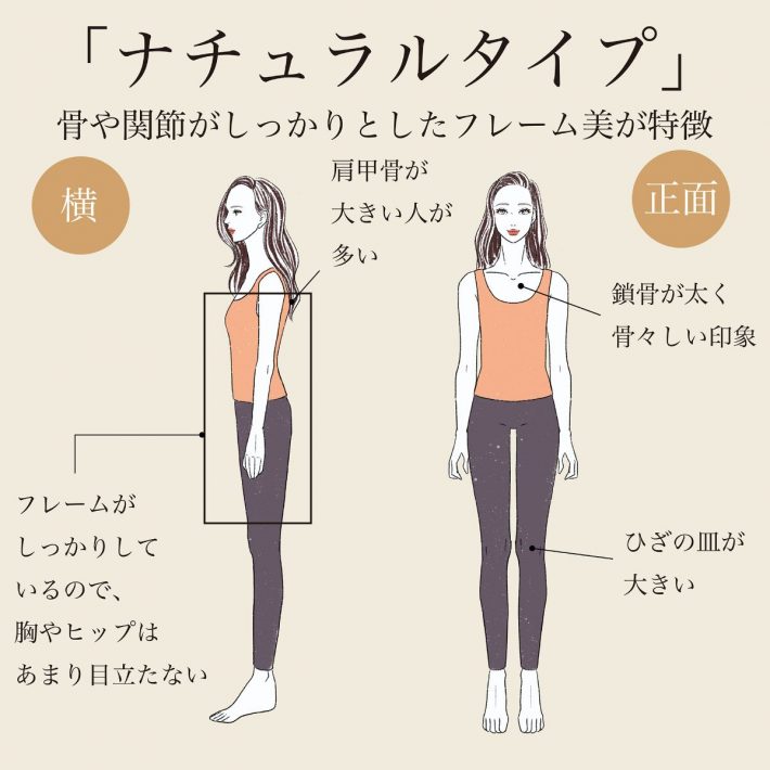 骨格「ナチュラルタイプ」