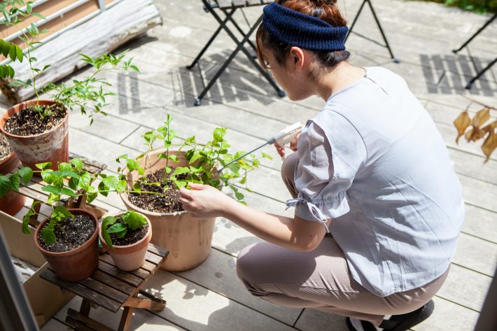 ガーデニングを本格的に学びたい人におすすめの資格4選