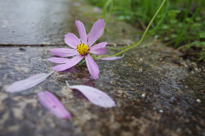 ただのコンプレックスが強いわがまま男