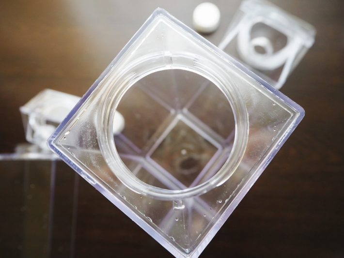 小さな氷なら入りそう