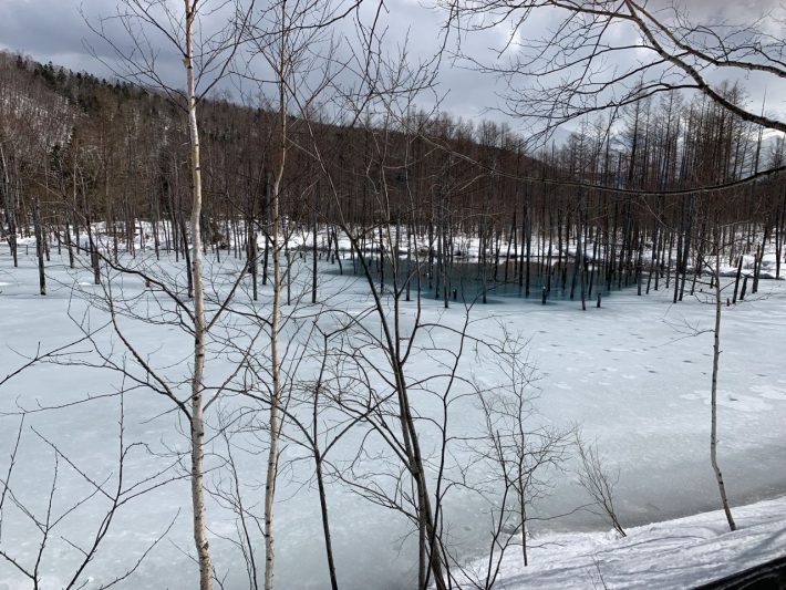 水面が雪で覆わた真冬の「青い池」（野沢さん撮影）