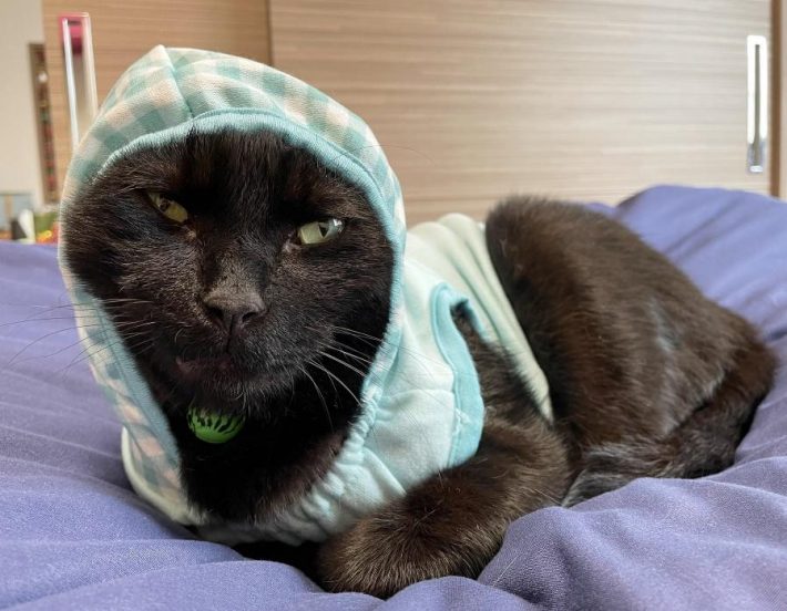 黒いから「もずく」と命名