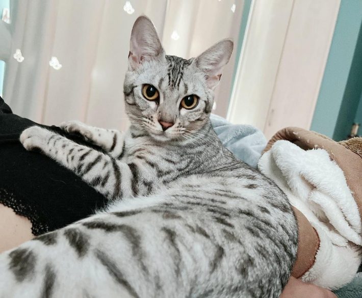 朝方のデレタイム