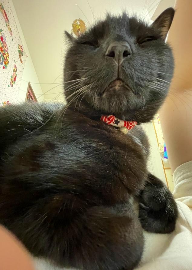 研ナオコさん似のショット