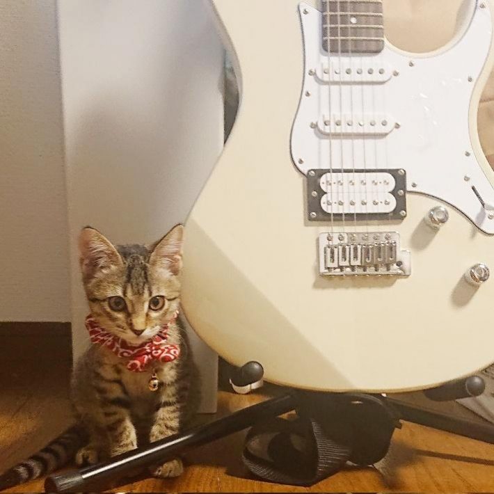 ギターともなちゃん