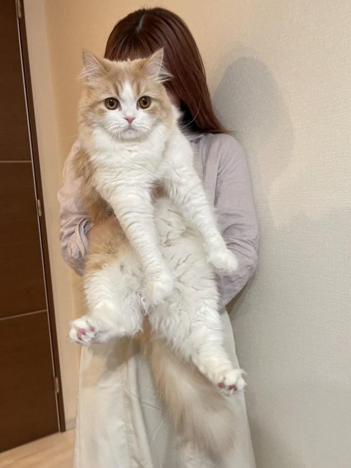 甘えん坊な一面もある