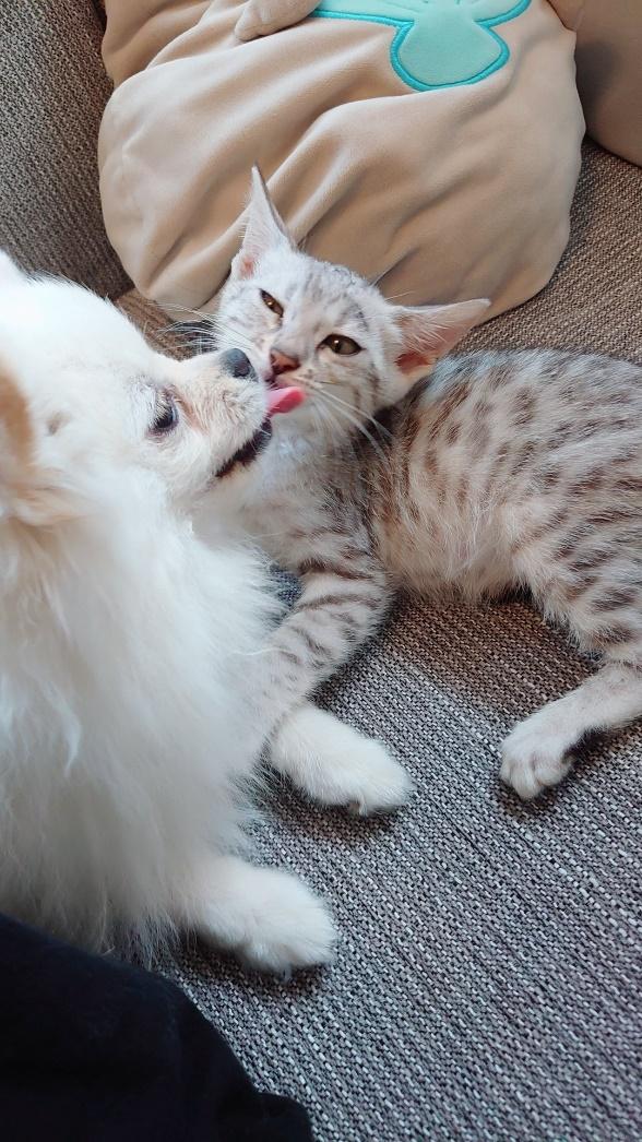 仲睦まじい様子