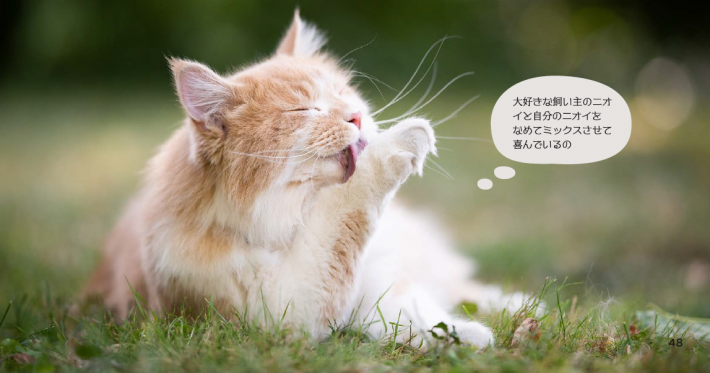 画像は本書（P48）より