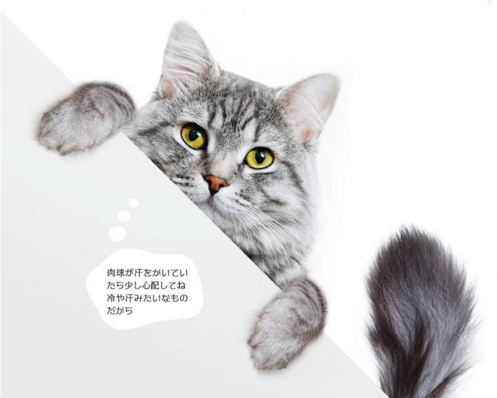 画像は本書（P46）より