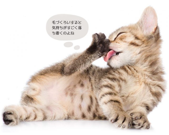 画像は本書（P39）より