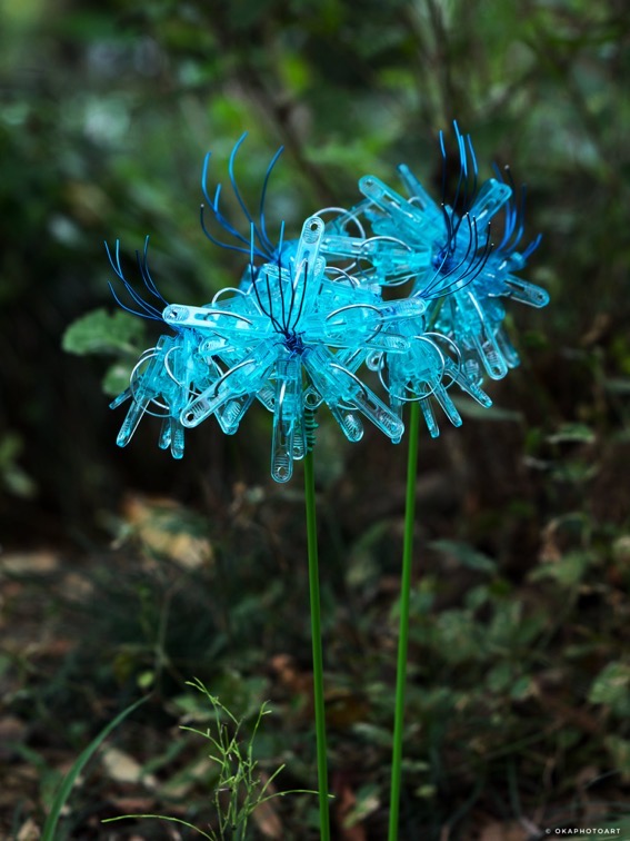 洗濯バサミフォト