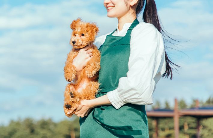 ブリーダーを本格的に学びたい人におすすめの資格3選