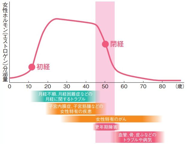 女性ホルモンのグラフ