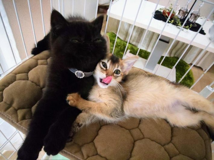 いちゃいちゃしていた幼少期