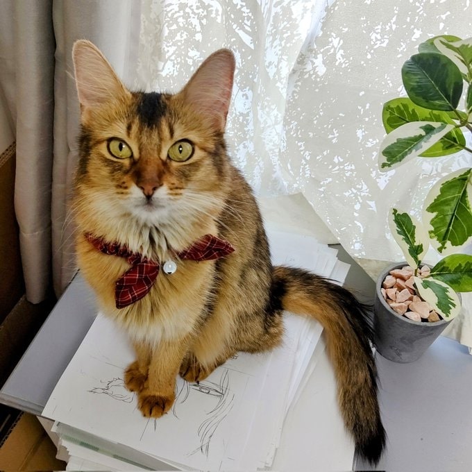 原稿の上でかまってアピール