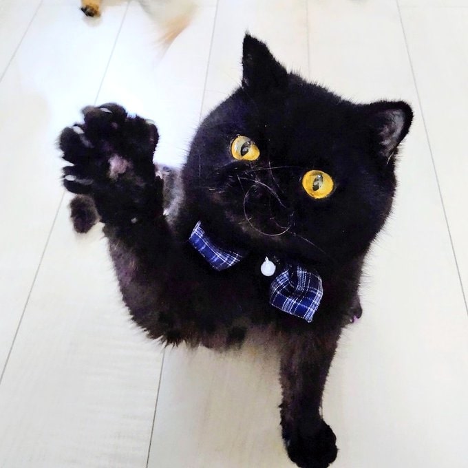 体調管理も大事