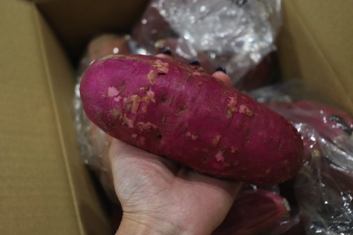 美味しいさつまいも選びのポイントは？