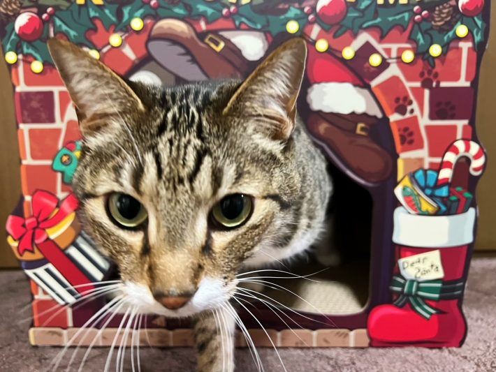 「いいじゃん、これ」と言っているような表情