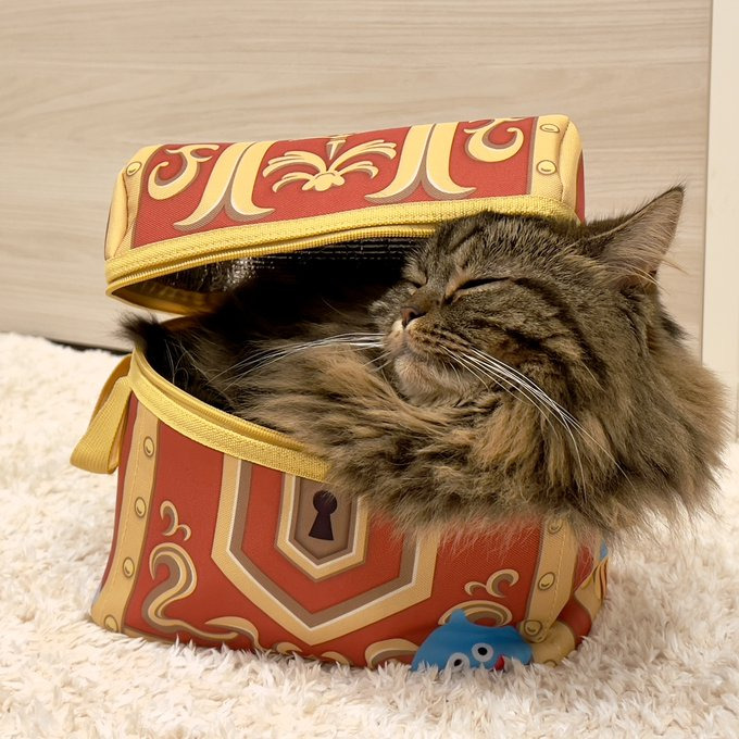 宝箱でうとうと