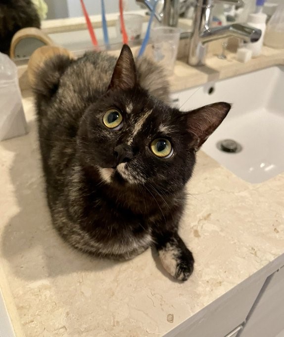 甘えん坊な一面も