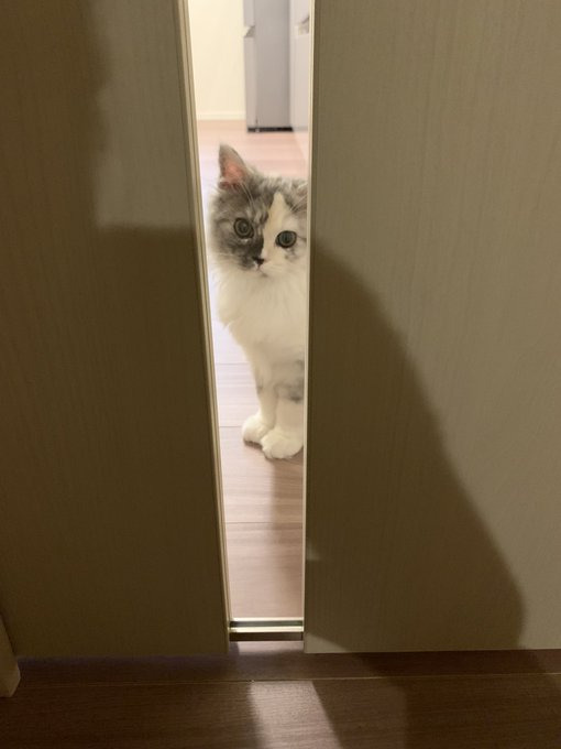 お風呂の出待ち中