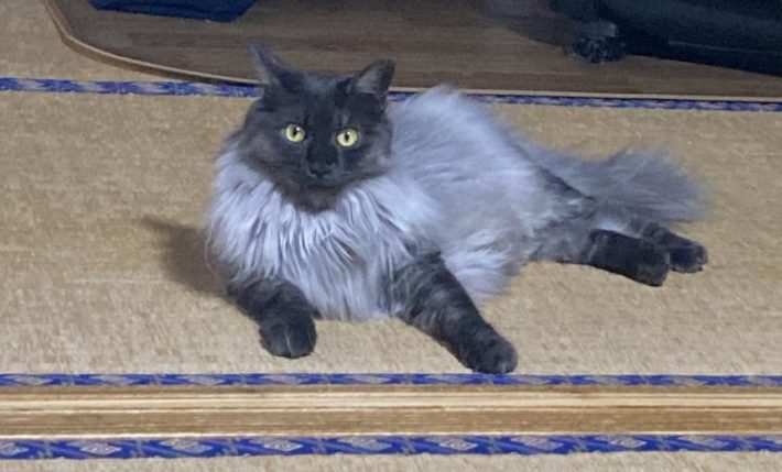 スキンシップが大好き