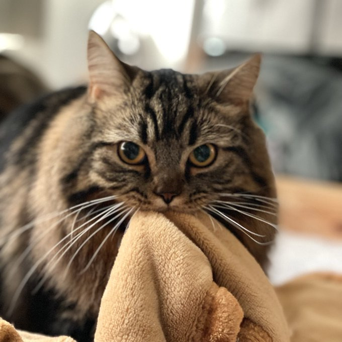 布団の味見をすることも