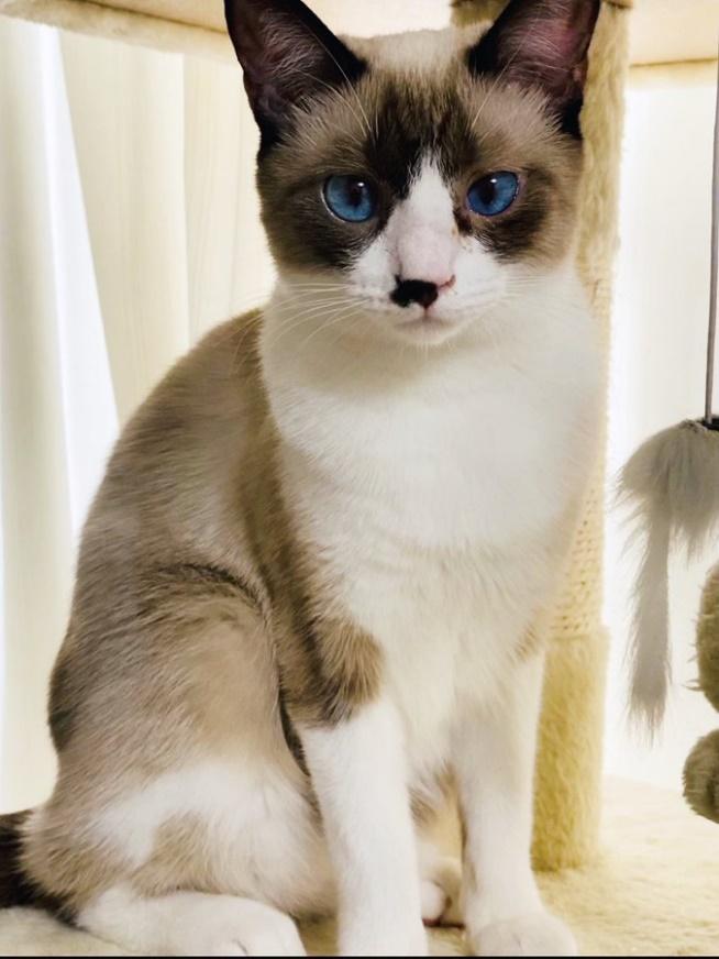 美しい蘭姫ちゃん