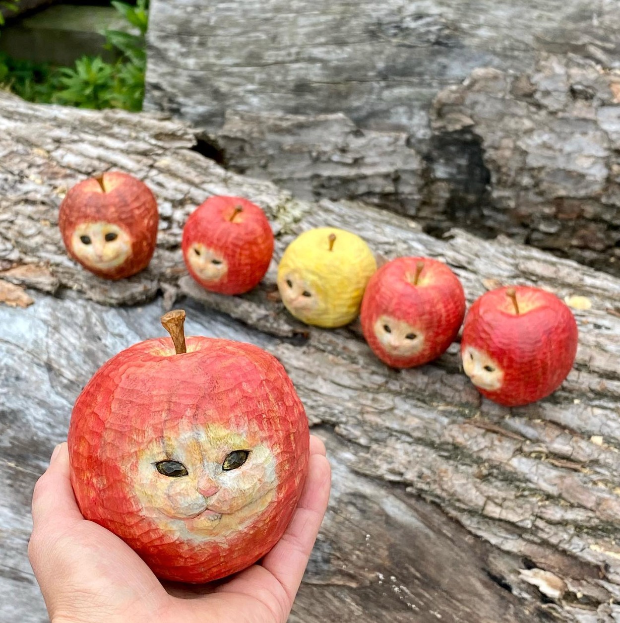 何これ！猫とリンゴが合体した「リンゴ猫」がふしぎ可愛い。バナナ