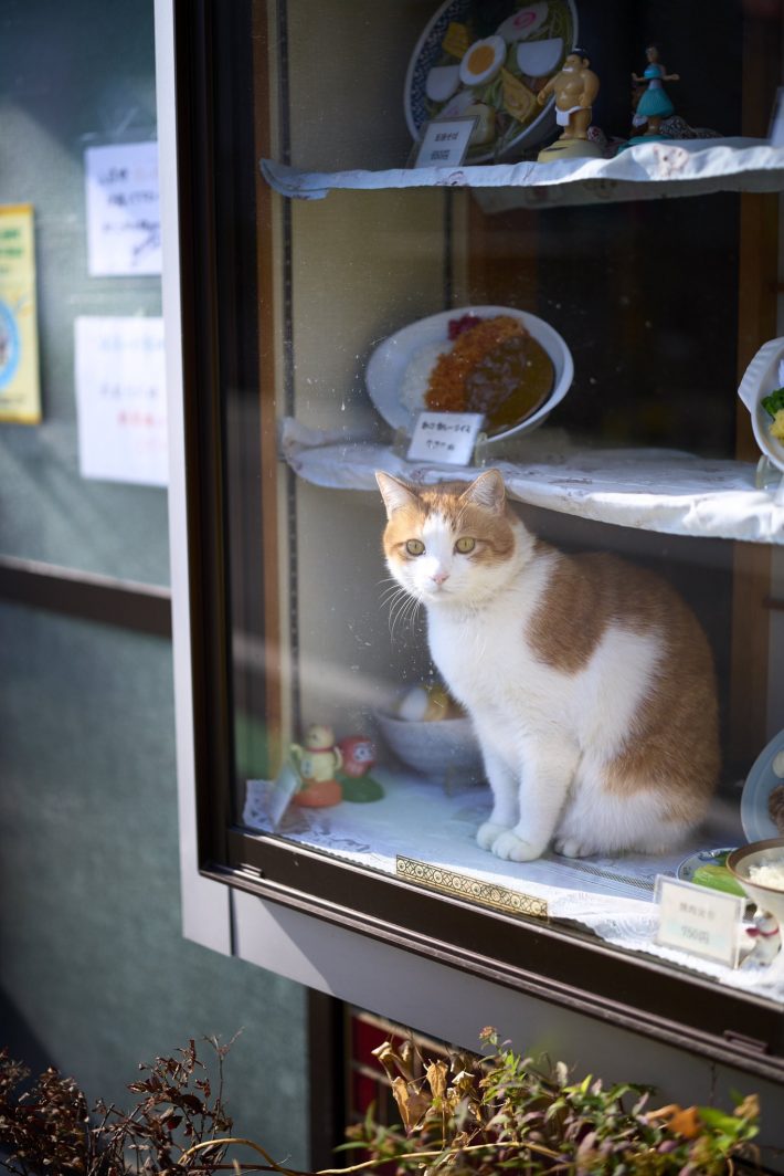 大晦日ならではの来客も