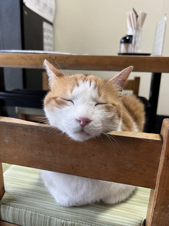 ぺた郎を大好きなお客さんがいる