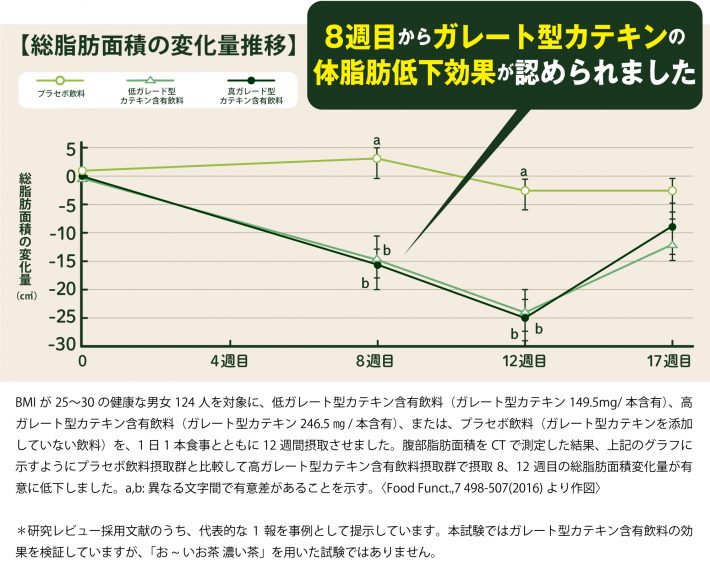 総脂肪面積の変化量推移