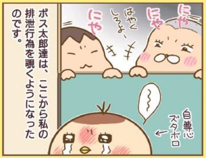 『5歳の私は、クラスの男子から性被害を受けました。～なんで言わないの？～』