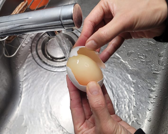 殻がするりとむける瞬間は気持ち良い