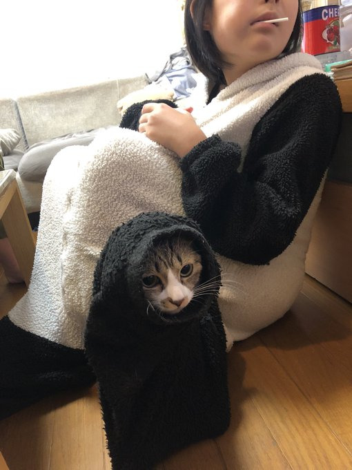 ひょっこり顔だし