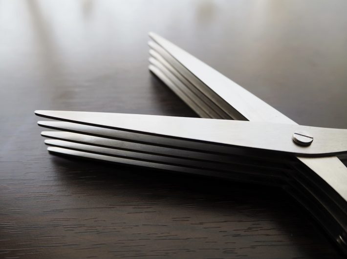 なかなかインパクトのある絵面