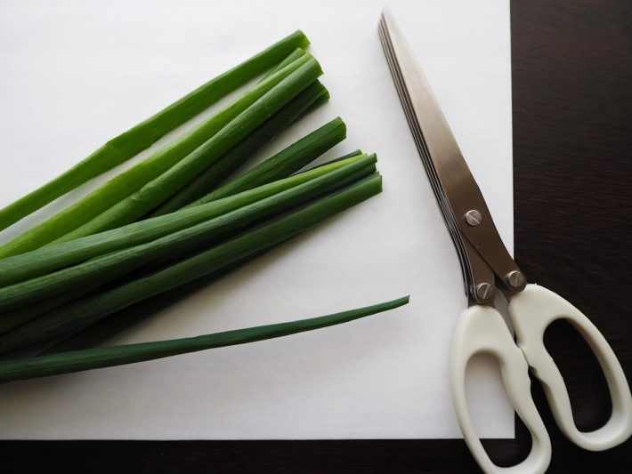 まずは、小ねぎから