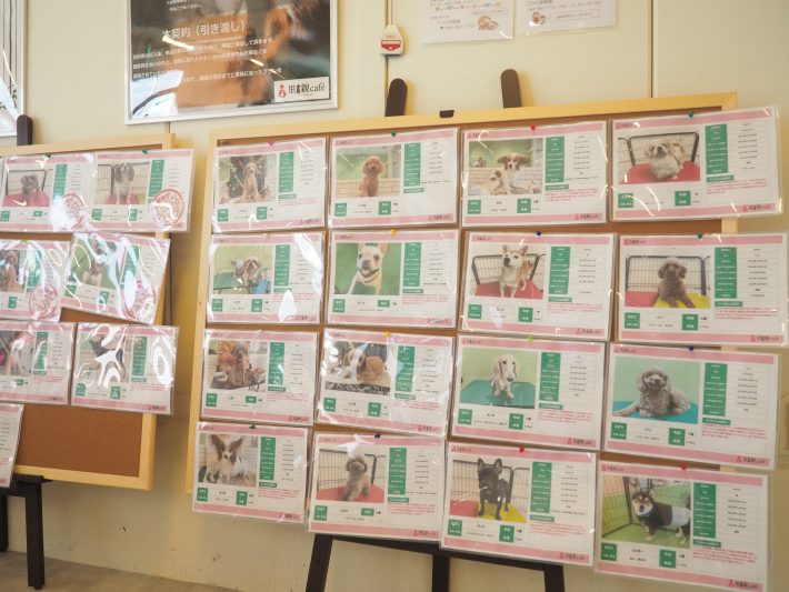 里親カフェ